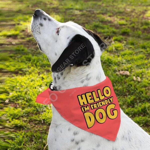 What is a Dog Bandana? https://neogearstore.com