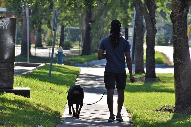 The Importance of a Pet Water Bottle: Keeping Your Furry Friend Hydrated https://neogearstore.com