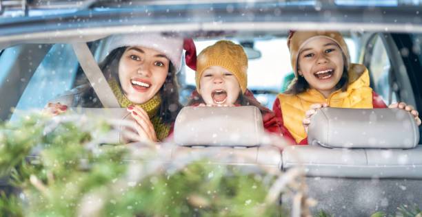 Essential Christmas Car Accessories for a Memorable Holiday Journey! https://neogearstore.com