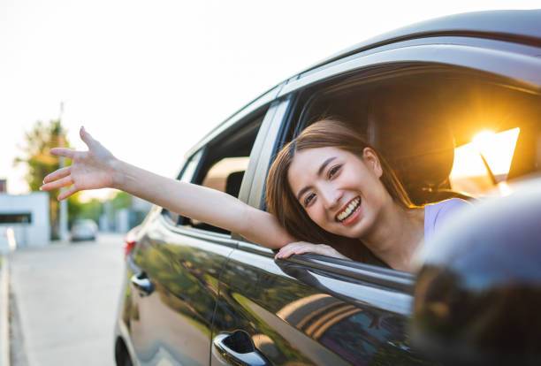 Organize Your Ride in Style: The Perfect Back Seat Companion