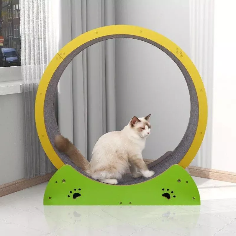 Wooden Cat Indoor Fitness Wheel