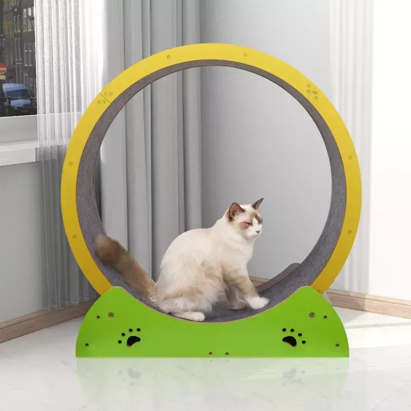 Wooden Cat Fitness Wheel: Silent Exercise Treadmill and Climbing Frame for Cats