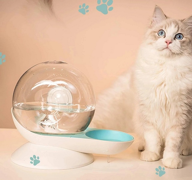 Keep Your Kitty Hydrated and Healthy with a Cat Water Fountain