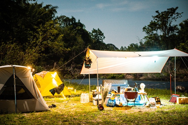The Ultimate Guide to Summer Camping Adventures
