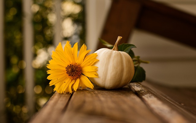 Giving Thanks Heartwarming Ways to Celebrate Thanksgiving with Family