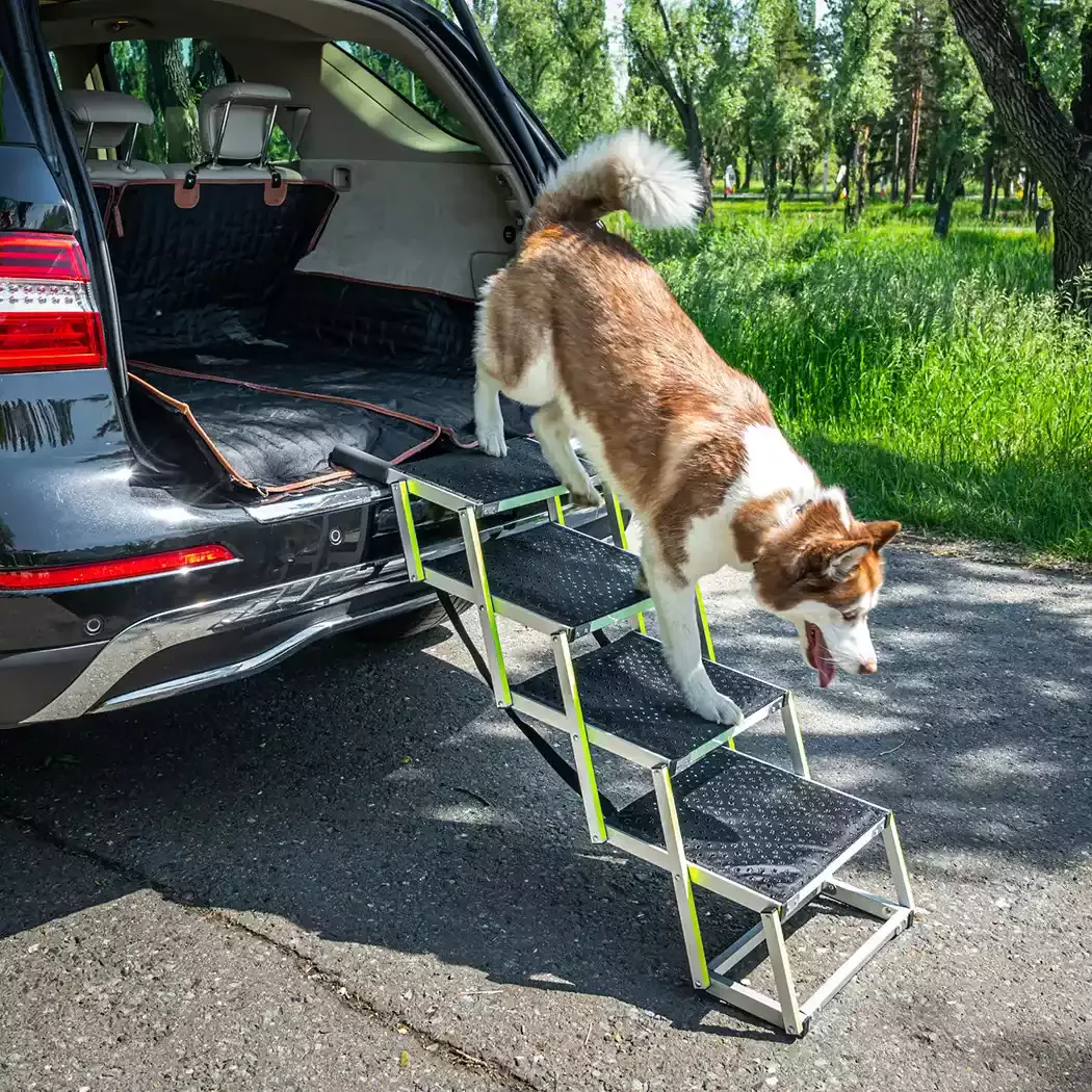 Car Dog Ramp “Tailgate” by Owleys