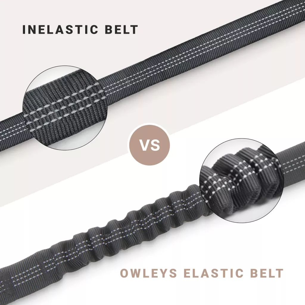 Adjustable Dog Car Seat Belt – Extra Safe & Anti-Shock