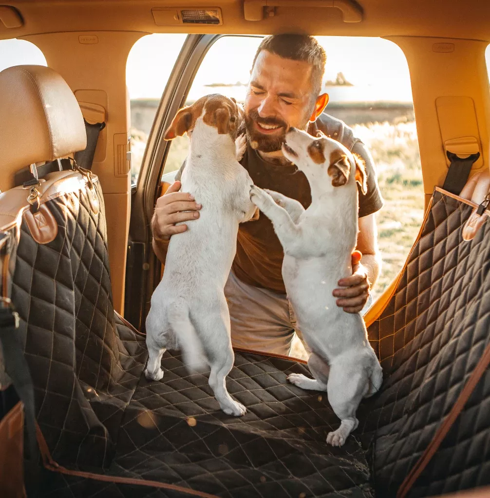Car Dog Hammock “Travel Buddy Mk. II” Owleys