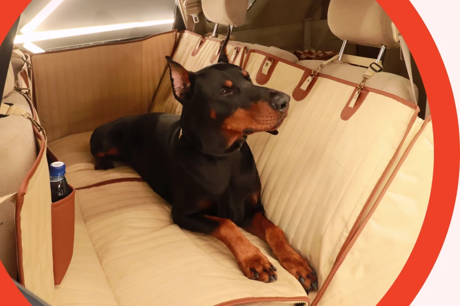 A Closer Look at Dog Safety and Comfort in Cars