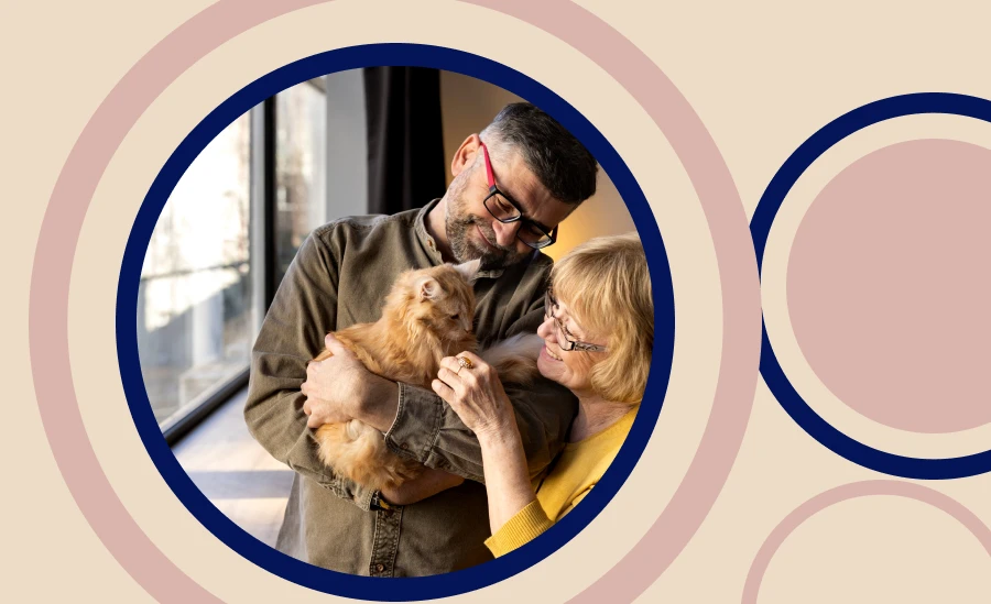 A pet toys that helps keep your cat active engaged and mentally stimulated