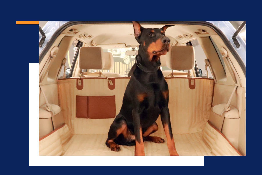 Built for Comfort and Designed for Safety with our Dog Hammock for the Car
