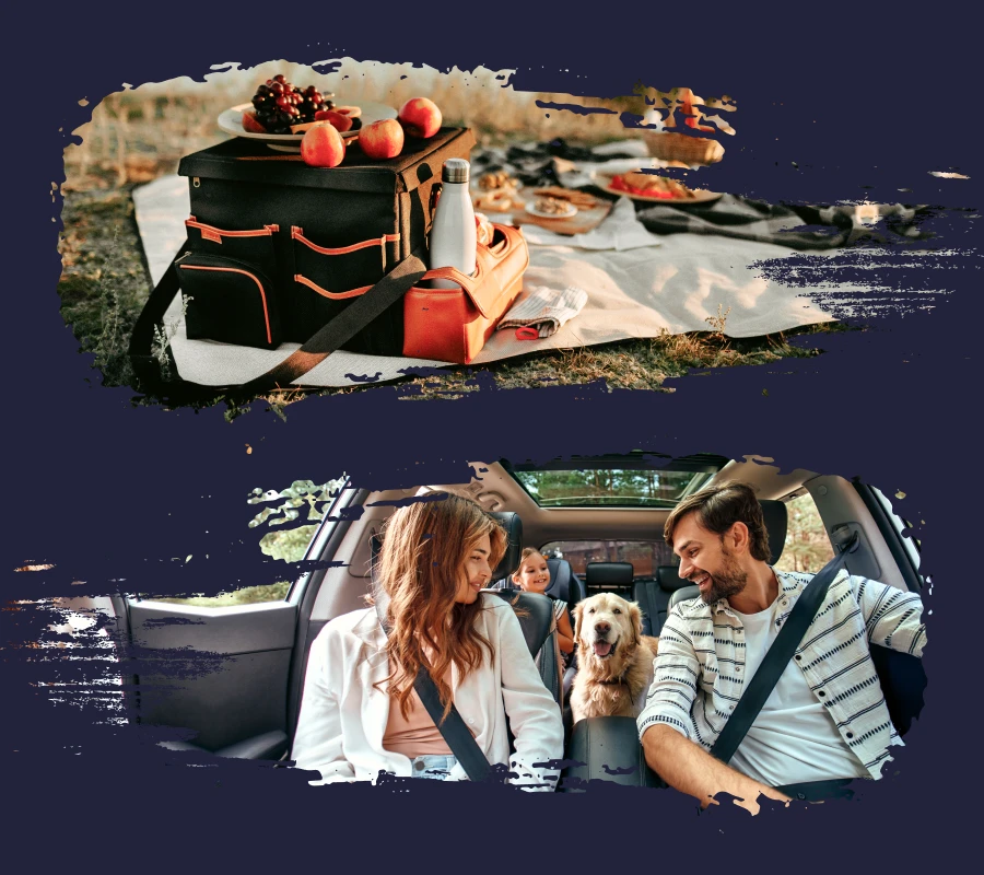 Buy A Car Backseat Organizers Improve Your Driving Experience