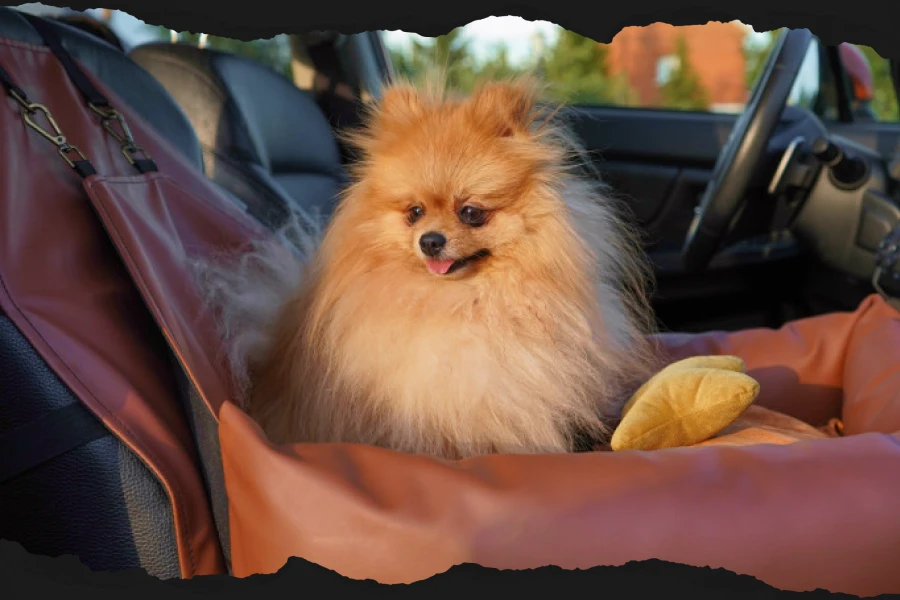 Buy A Dog Booster Seat For Pet Road Trips