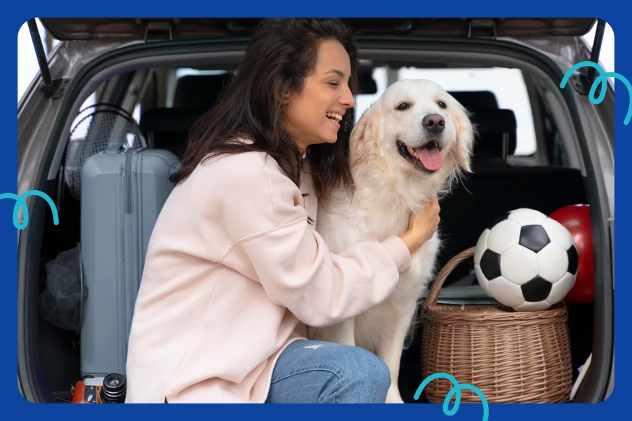 Buy A Dog Car Seat Hammocks for Safe and Comfy Rides