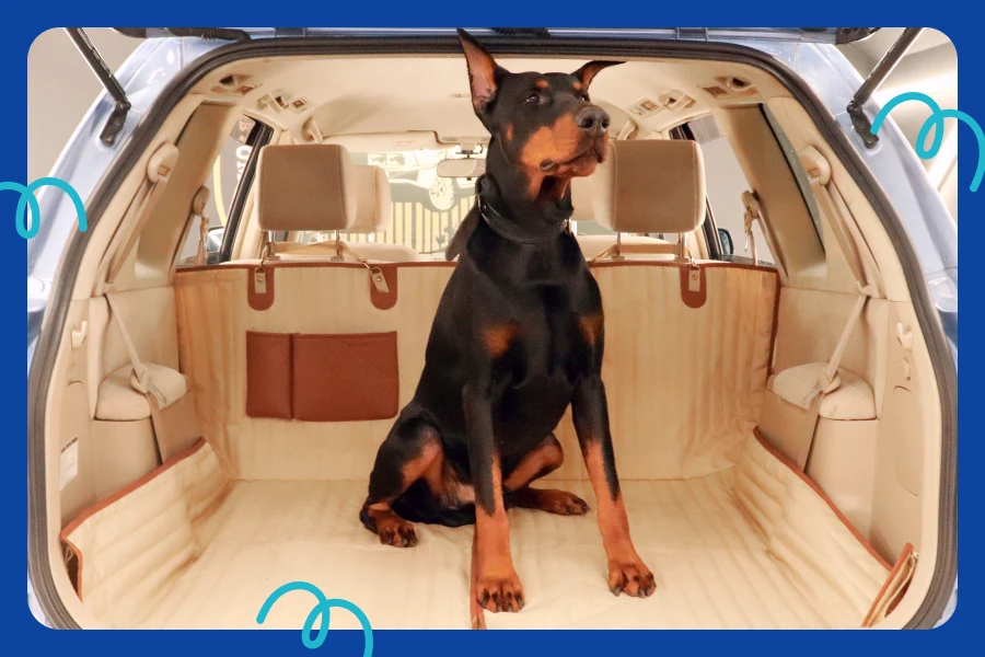 Buy Best Pet Car Hammocks to Keep Dogs Safe and Cozy