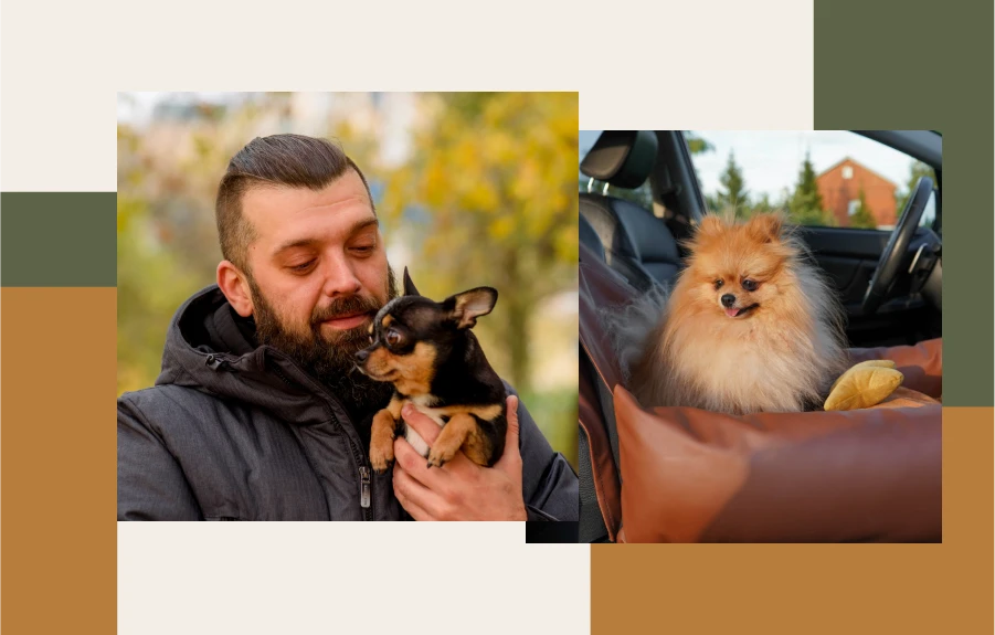 Car Booster Seat for Dogs: Stylish and Practical Design