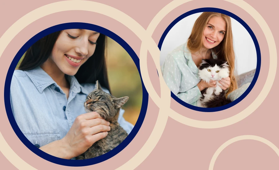 Effective way to encourage your cat to stay active