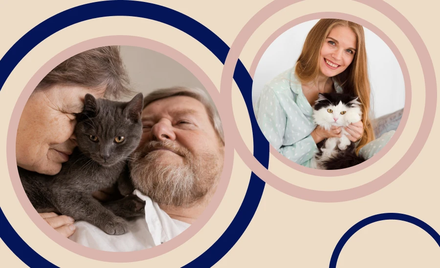Engaging your cats with the interactive cat toys