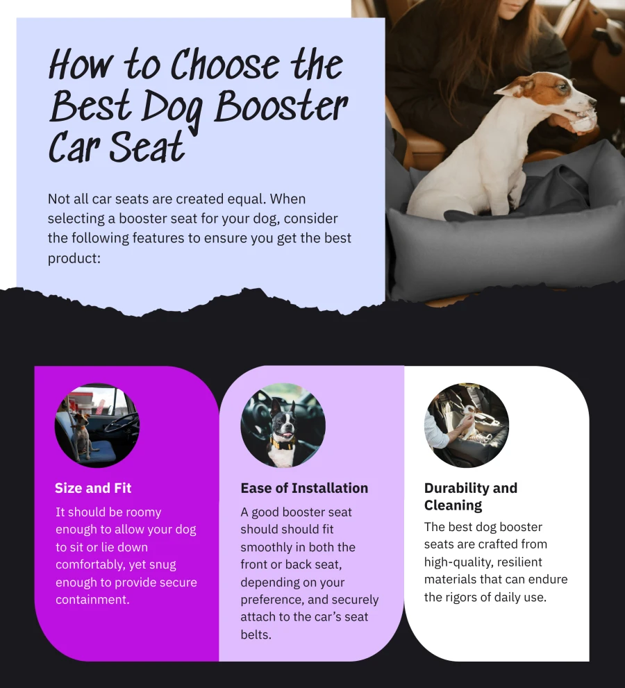 How To Choose The Best Dog Booster Car Seat