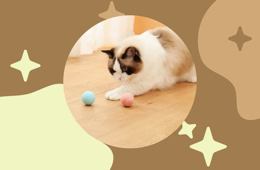 Interactive and Playful Cat Toy