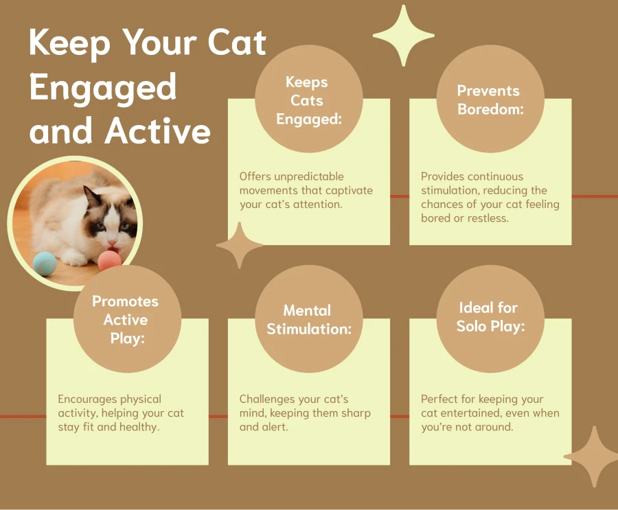 Keep Your Cat Engaged amd Active With Cat Toys