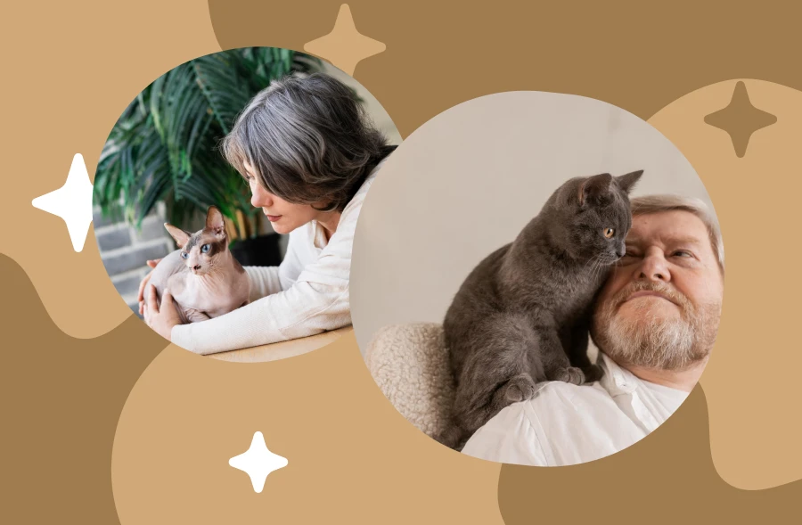 Loving Cat Owner Spending Time With Their Pet Cat
