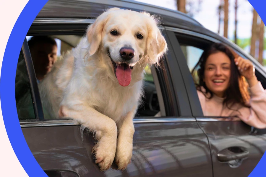 Make Car Rides Safer and Happier with a Car Seat Hammock for Dogs