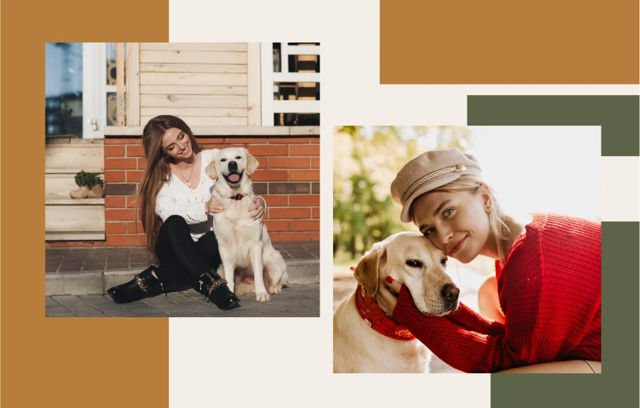 Make Every Trip Better for Your Dog with This Travel Must-Have