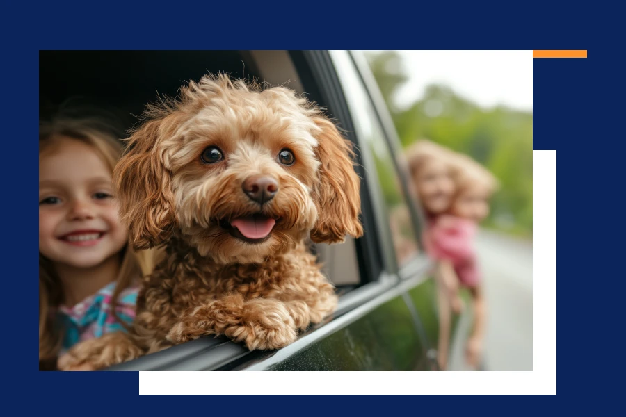 Make Every Trip a Joy Ride