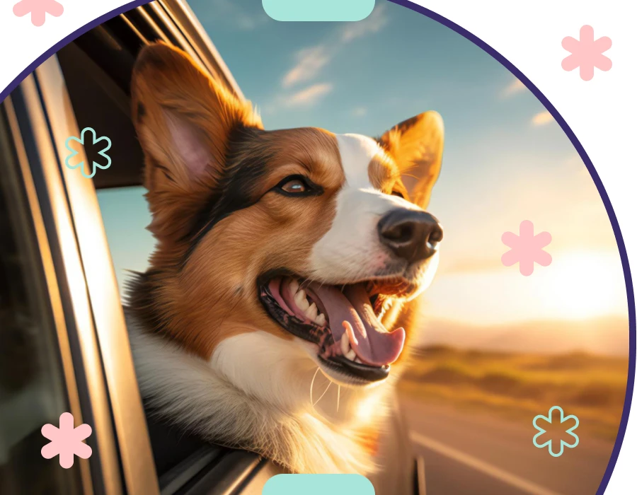 Must-Have Pet Essentials for Trend-Conscious Animal Lovers