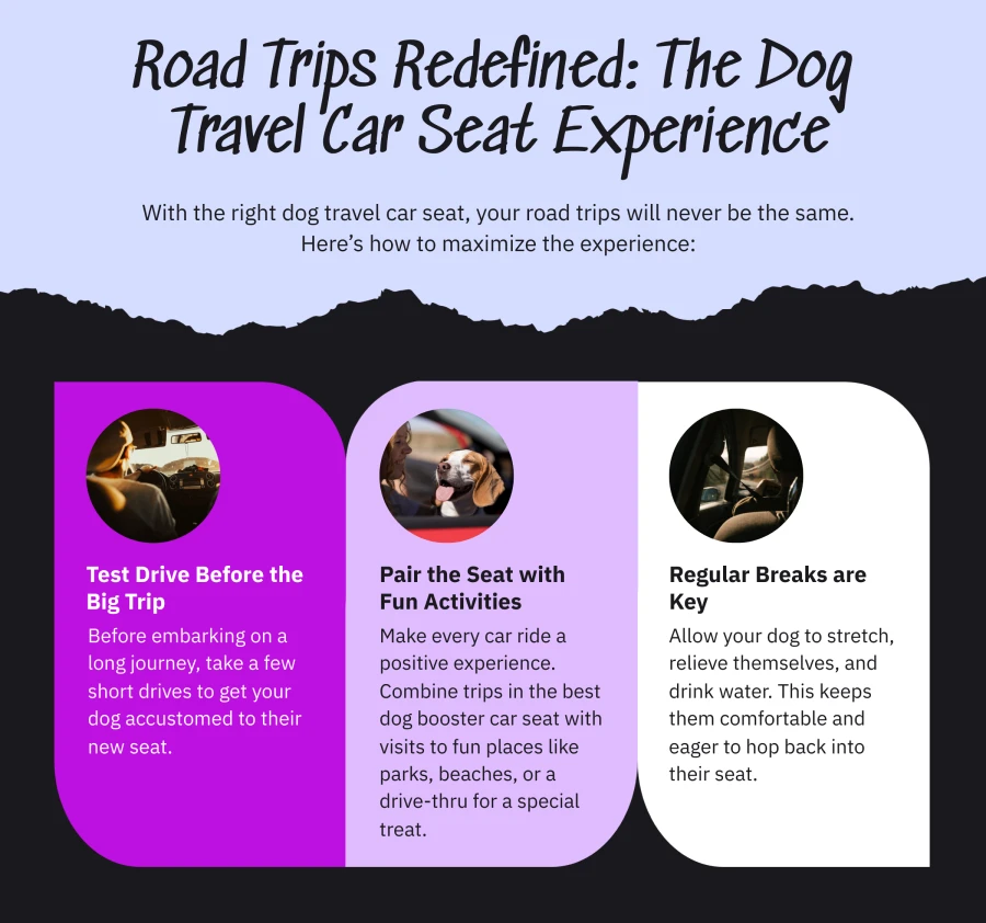 Road Trips Redefined - The Dog Travel Car Seat Experience