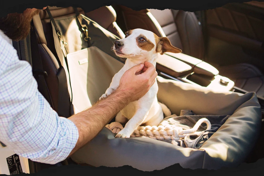 Safety meets comfort seamlessly with a booster car seat for dogs