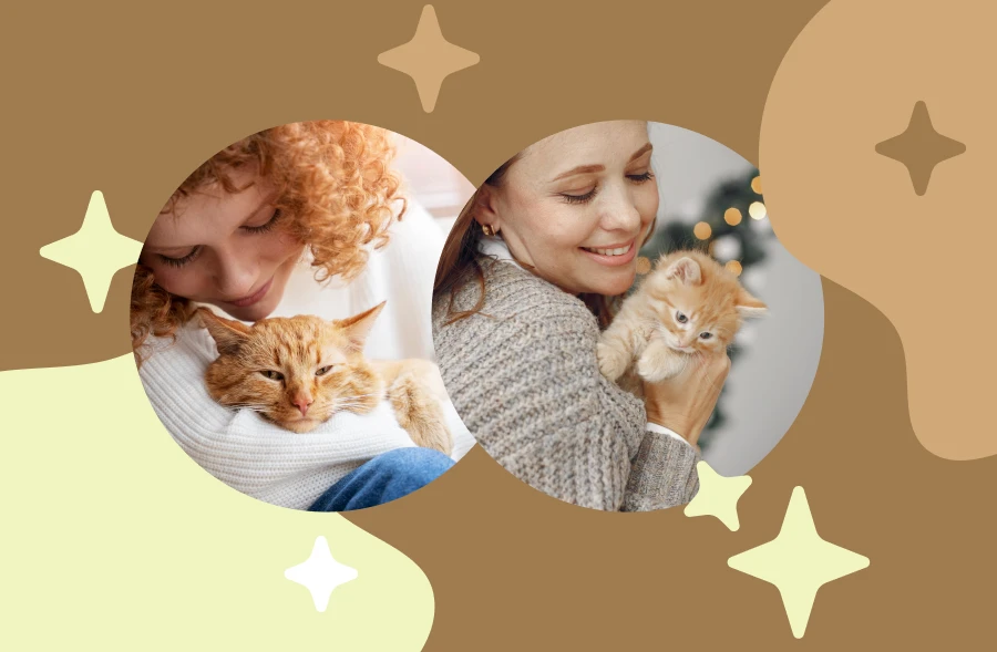 The Cat Lovers With Their Cute Cats