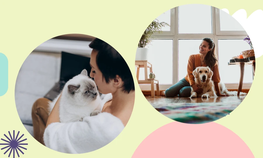 Try These Proven Pet Grooming Tools