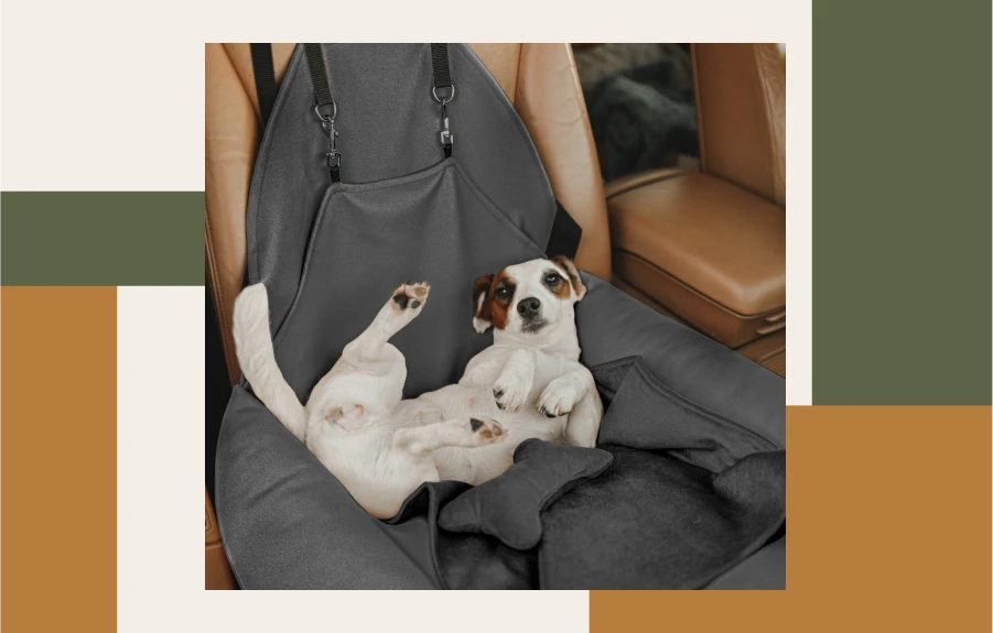 Turn Car Rides into a Treat with This Dog Travel Accessory