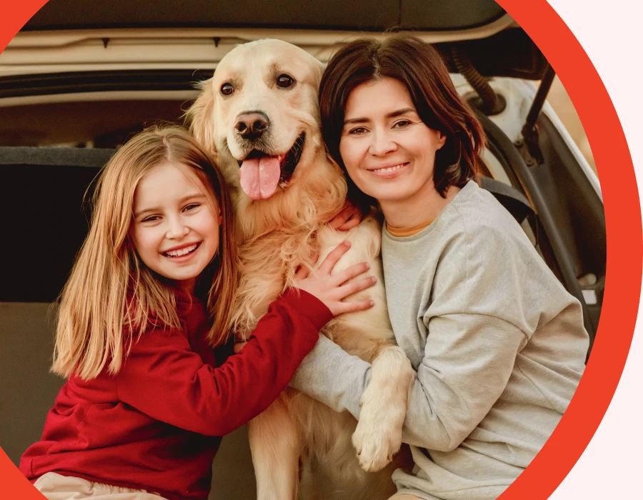 Turn Every Car Ride into a Joyride With a Pet