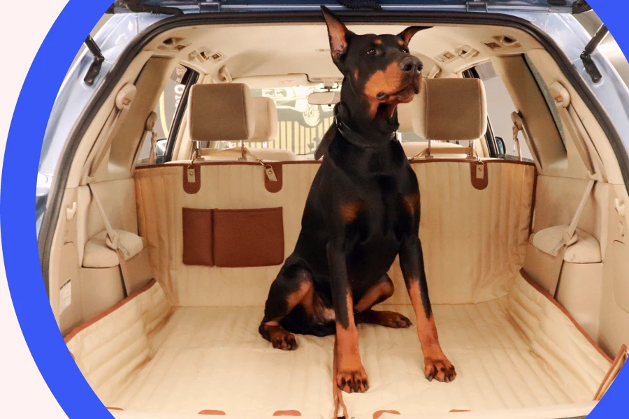 Upgrade Every Drive with a Car Seat Hammock for Dogs