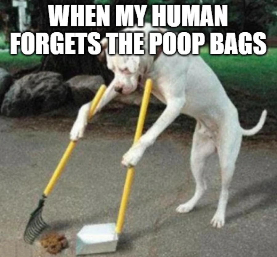 A Funny Picture A Dog Cleaning A Poop
