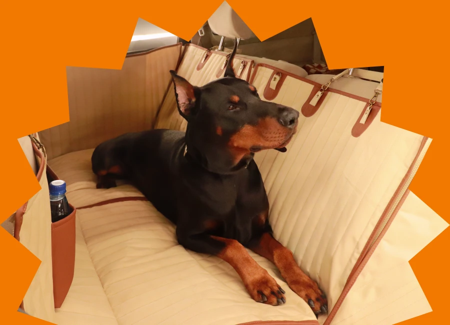 Buy Online Dog Car Hammocks That Keep Pets Safe And Comfort