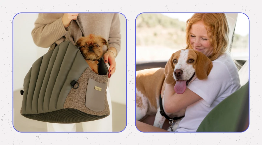 Buy Pet Travel Carrier The Perfect Choice for the Fashion-Forward Pet Owner