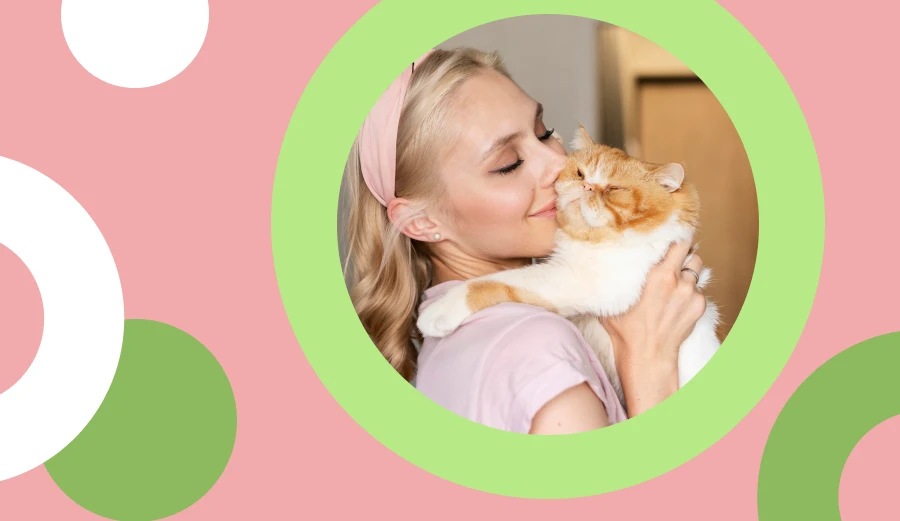Buy These Brain-Boosting Cat Toys for Happy Playtime