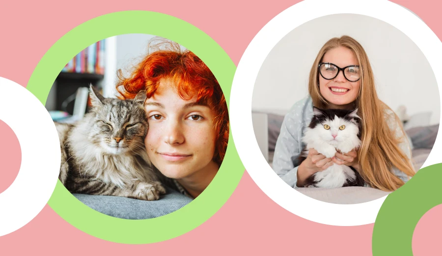 Elevating Playtime with Cat Toy for Smart Cats