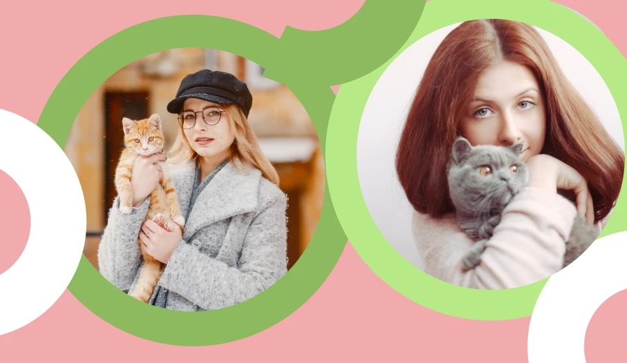 Engage Your Clever Cat with Fun Toys That Boost Mental Stimulation