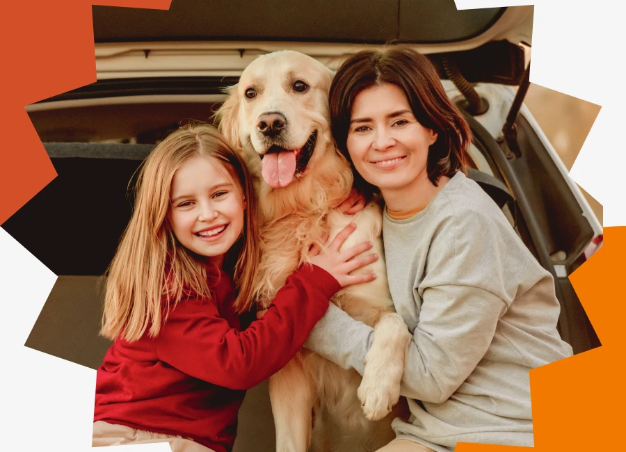 Every Dog Owner Needs a Car Hammock for Smart Travel Road Trips