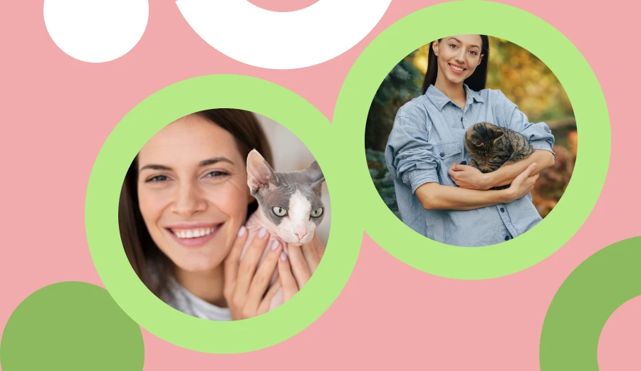 Finding the Best Cat Toy for Smart Cats