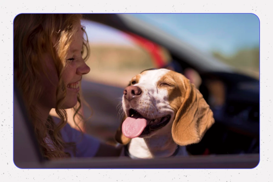 Keeping Your Pet Happy and Comfortable With Pet Care