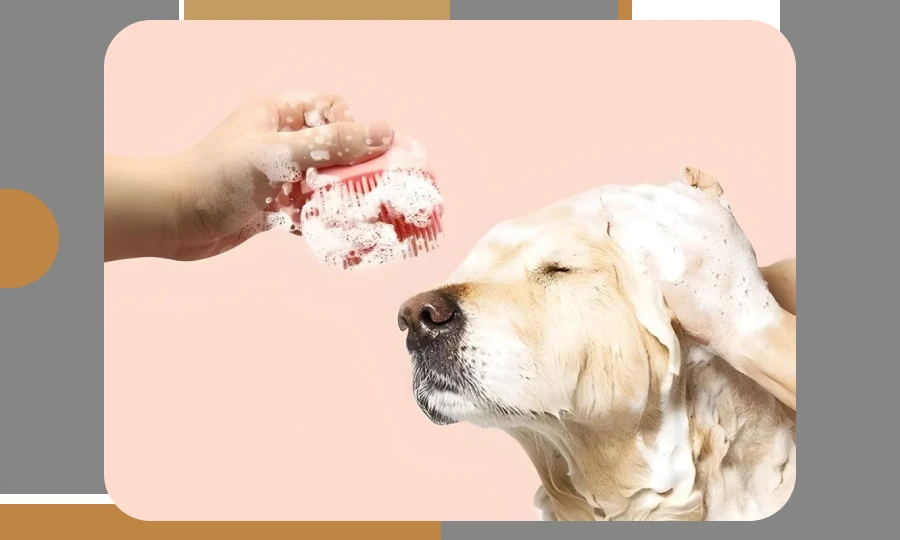 Learn To Keep Your Furry Friend Clean Without the Hassle