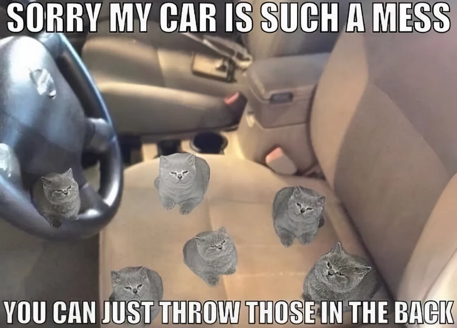 Make Your Trunk a Statement of Efficiency
