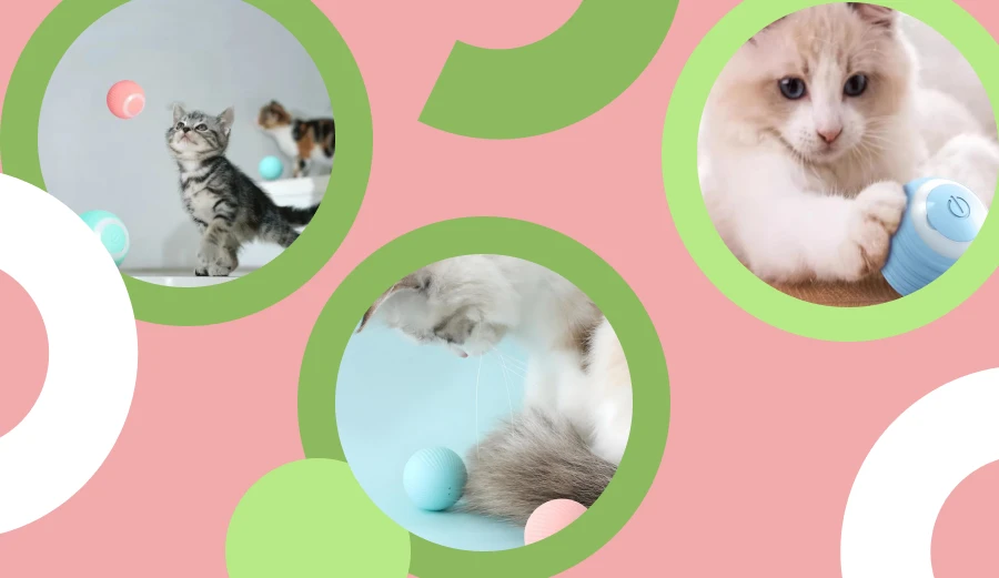 Pet Toys to Stimulate Your Intelligent Cat is Mind and Keep Them Happy