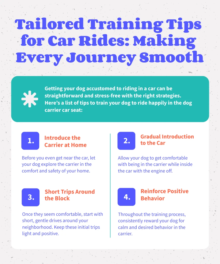 Tailored Training Tips for Car Rides Making Every Journey Smooth
